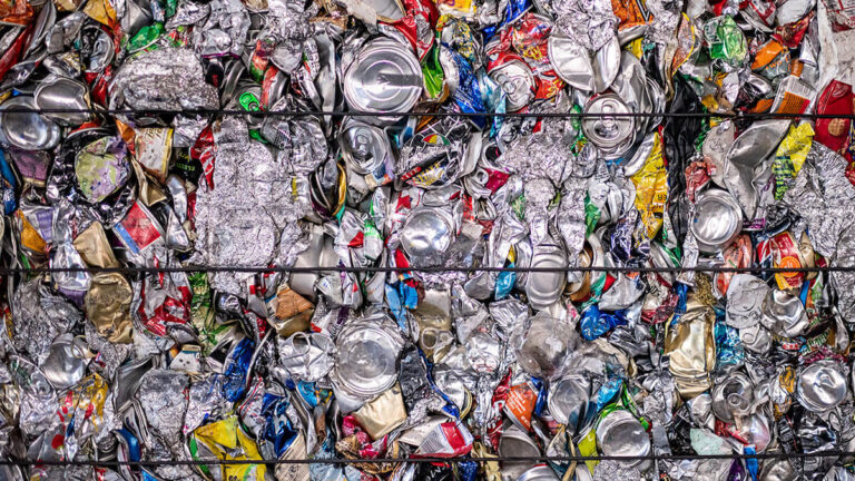 Recycling pioneer: U-M alumna puts Emmet County on national map as model for cutting waste